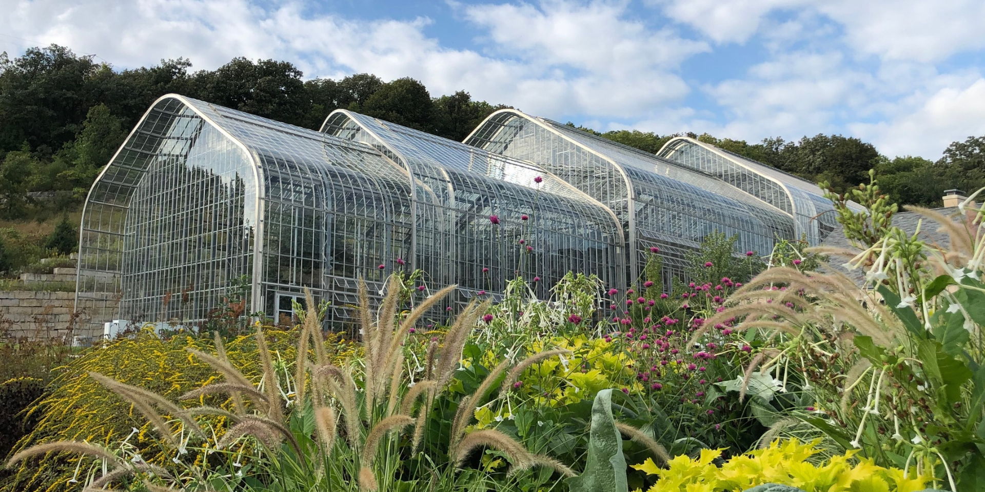 Lauritzen Gardens' 25th Anniversary Gala promotional image