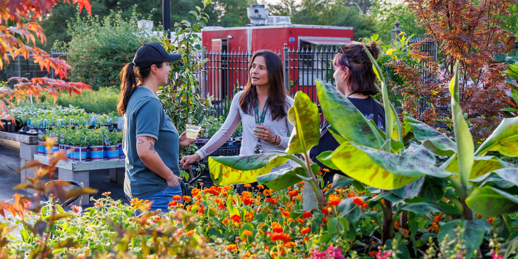 Fall Plant Sale Preview Party (21+) promotional image