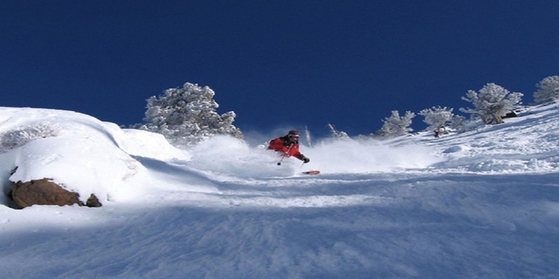 Cardiovascular Conference at Snowbird promotional image