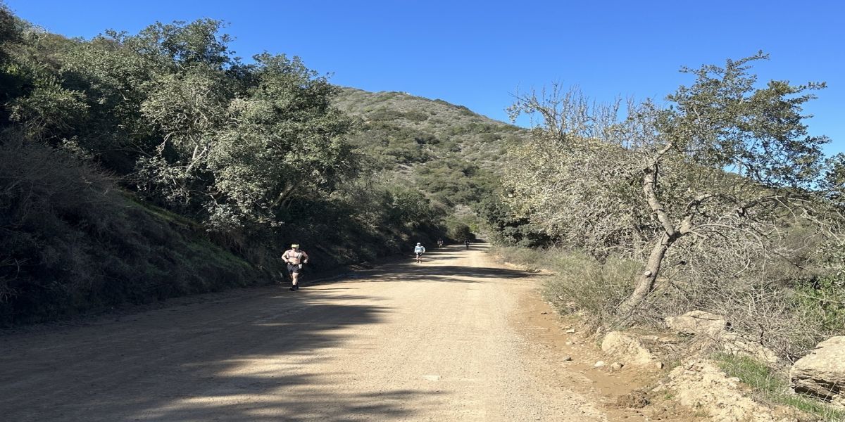 2026 Catalina Island 10K, 5K promotional image