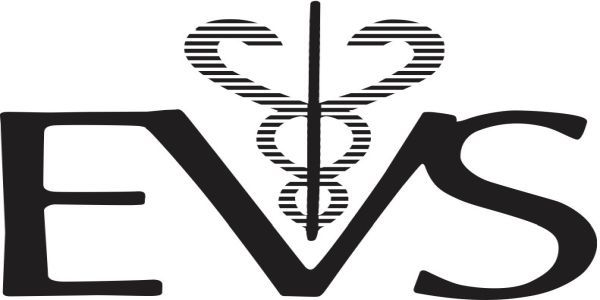 Eastern Vascular Society promotional image