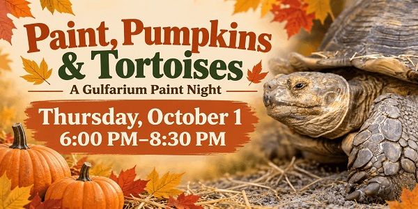 Paint, Pumpkins and Tortoises: A Gulfarium Paint Night promotional image