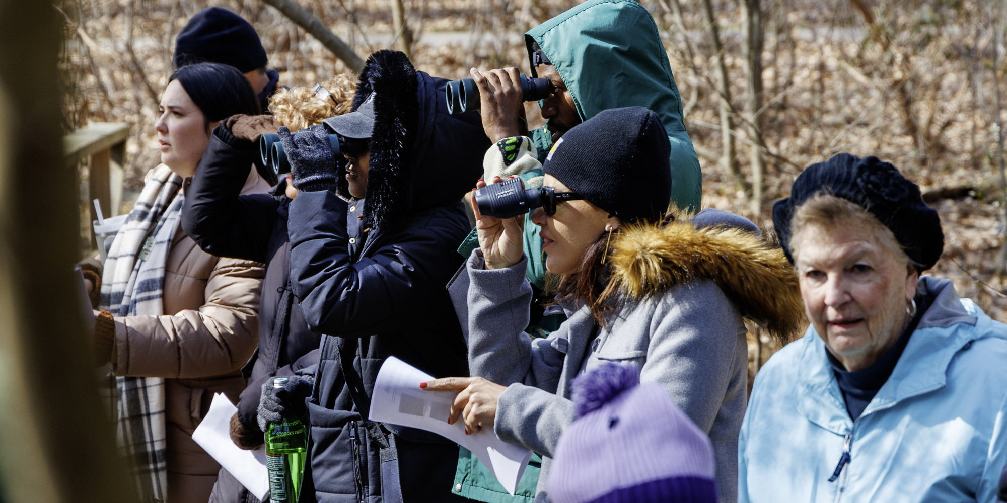 Great Backyard Bird Count promotional image