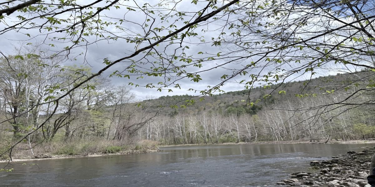 Riverside Walk Along the West River promotional image