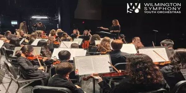 Wilmington Symphony Youth Orchestras promotional image