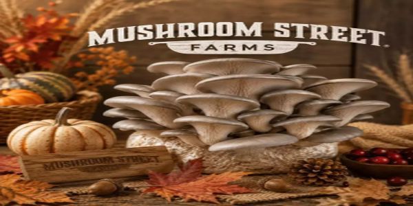 Mushroom Cultivation Workshop and Farm Tour promotional image