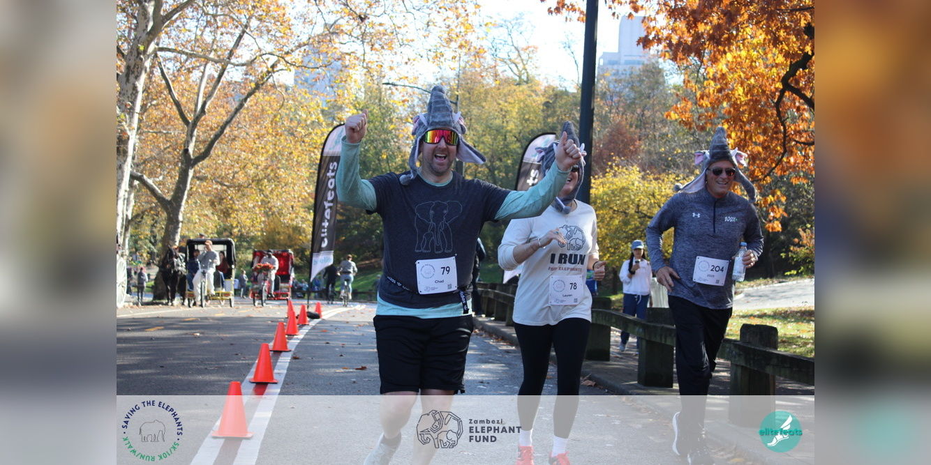 13th Annual Saving the Elephants 5K & 10K Run/Walk promotional image