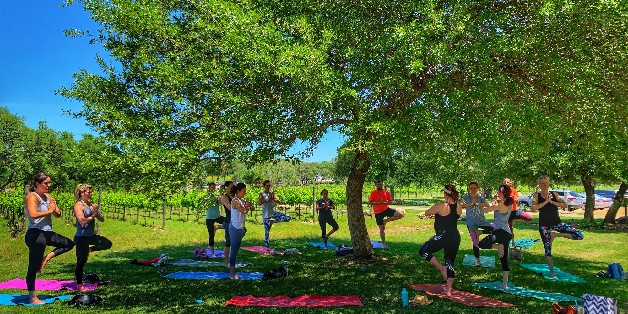 Vino Vinyasa at Fall Creek Vineyards promotional image