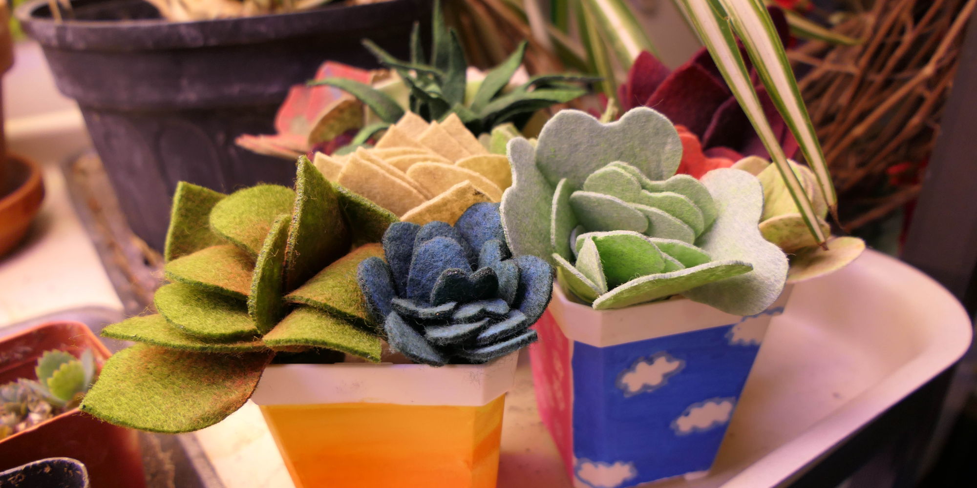 Family Workshop: Felt Succulents promotional image