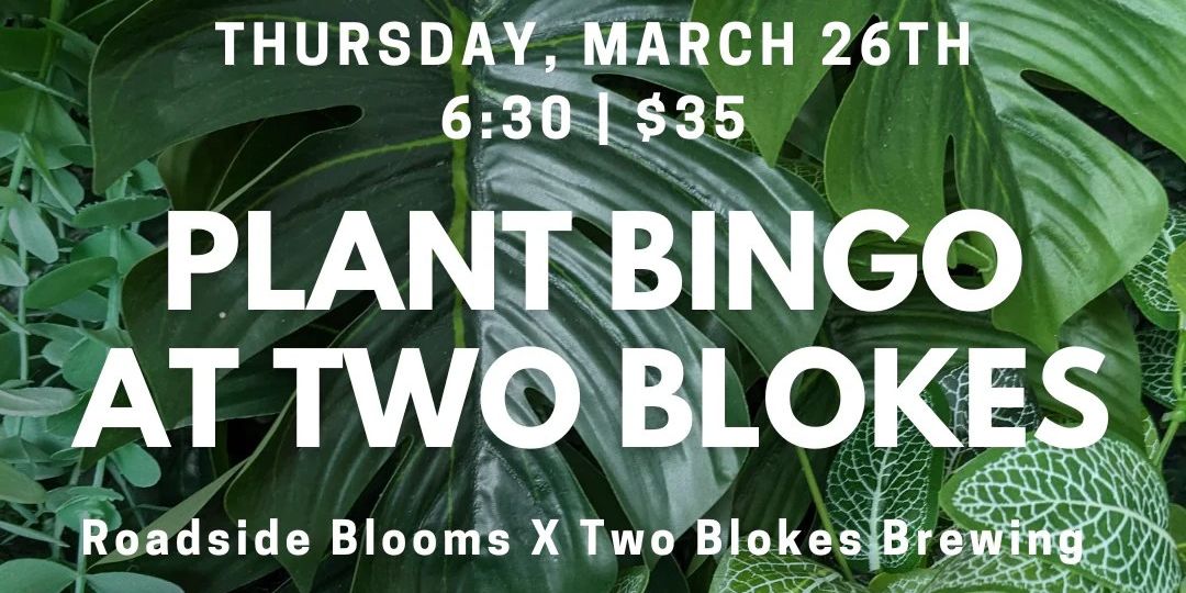 Plant Bingo @ Two Blokes promotional image