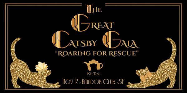The Great Catsby Gala promotional image