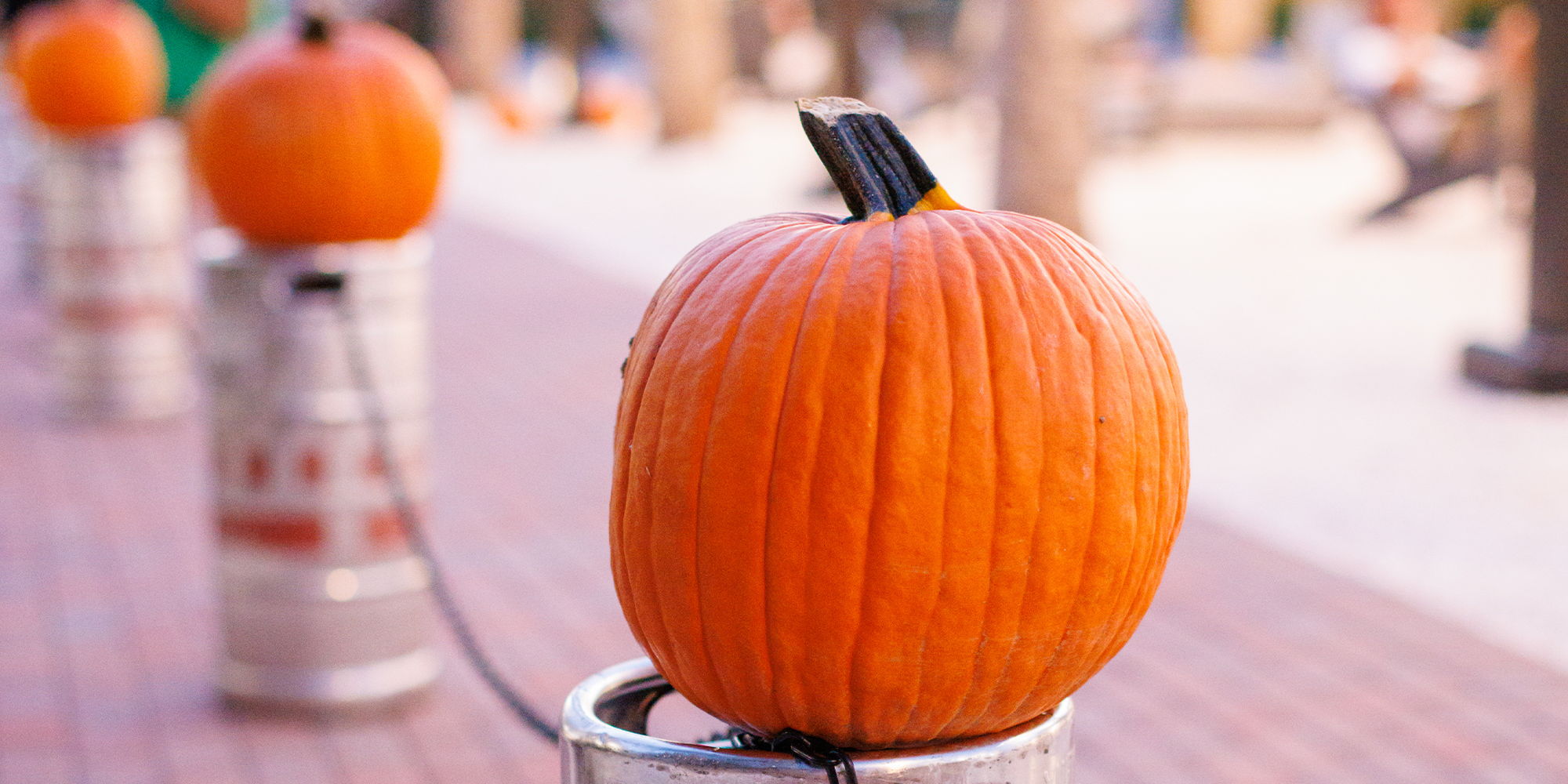 Pumpkin Patch & Fun Fall Fest promotional image