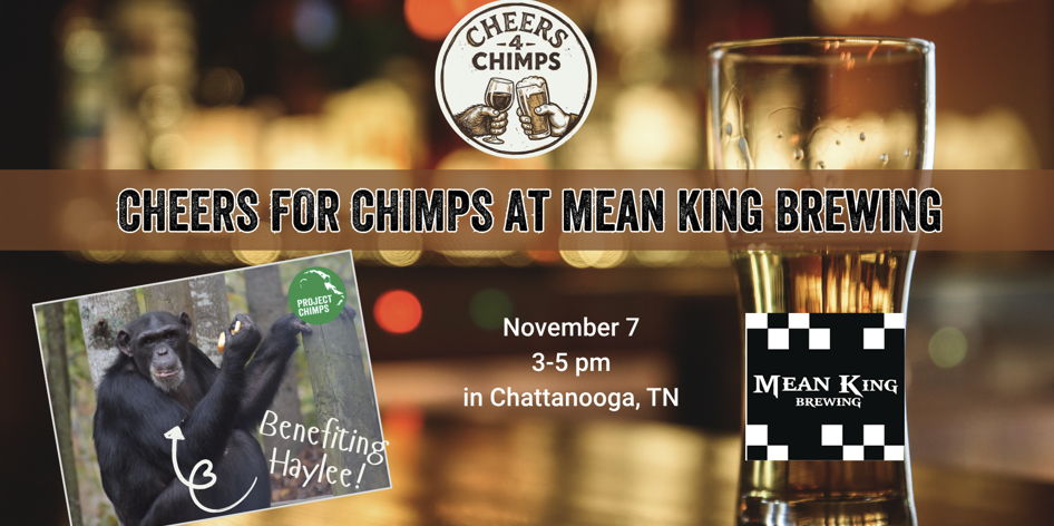 Cheers for Chimps at Mean King Brewing promotional image