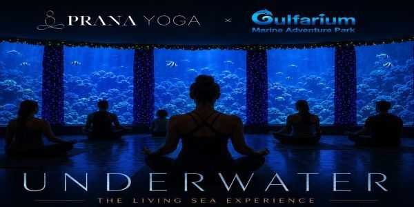 UNDERWATER: The Living Sea Experience promotional image