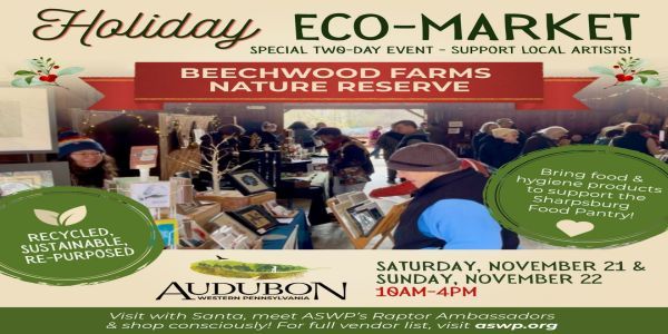 Holiday Eco-Market promotional image