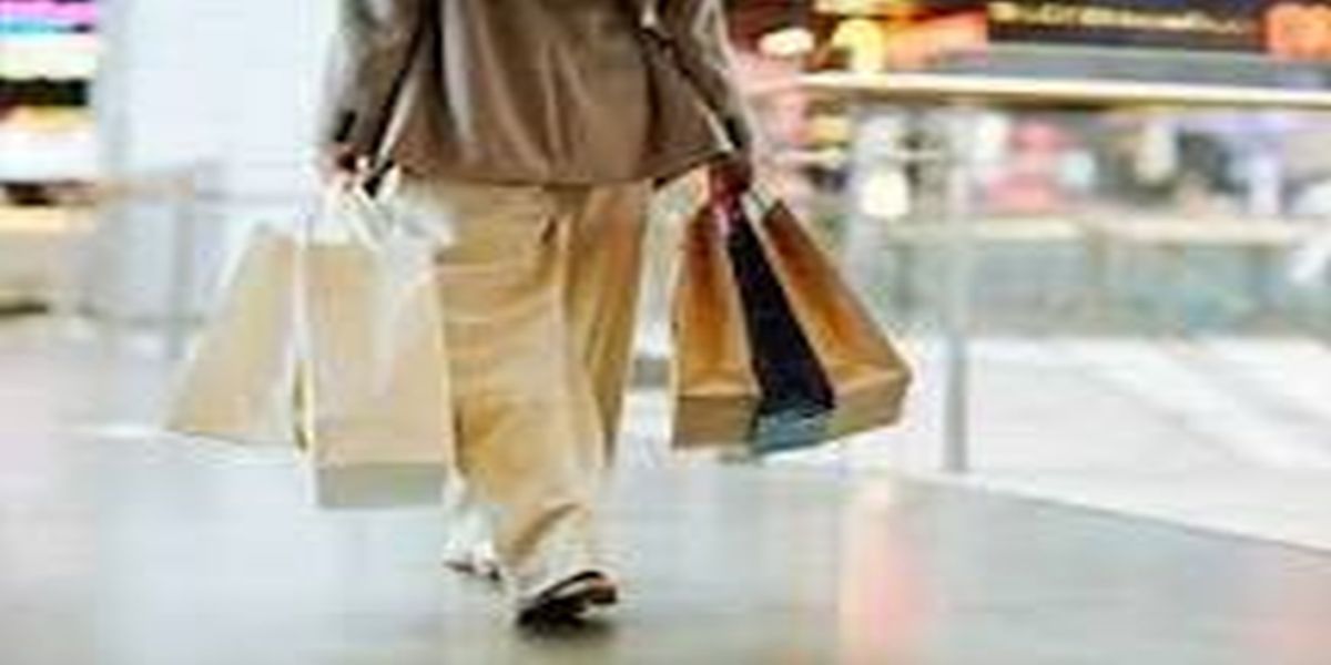 Briar Creek Phase I Bazaar, Nov 6th: 5-7PM and Nov 7th: 9AM-12, 100 Briar Creek BLVD, Safety Harbor promotional image