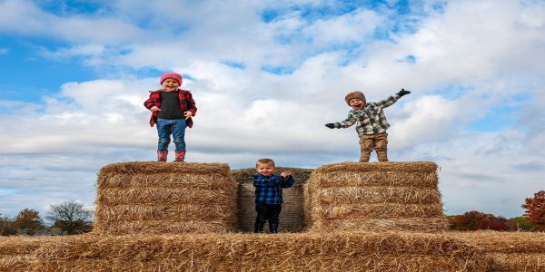 Fall Fun at Sissons' Pumpkin Patch promotional image