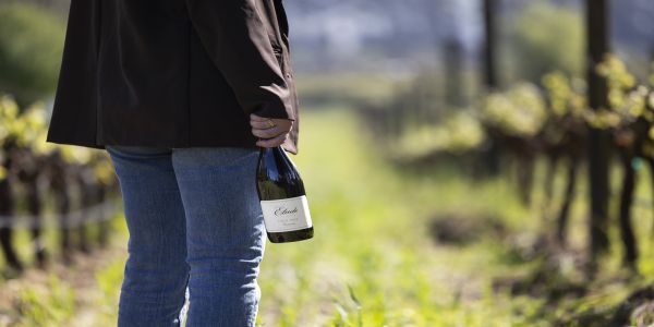 2024 Pinot Noir Release Party promotional image